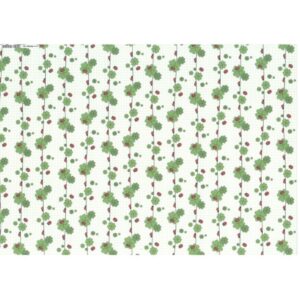 Χαρτόνι Folia 50x70εκ 1όψη Leaf Clover